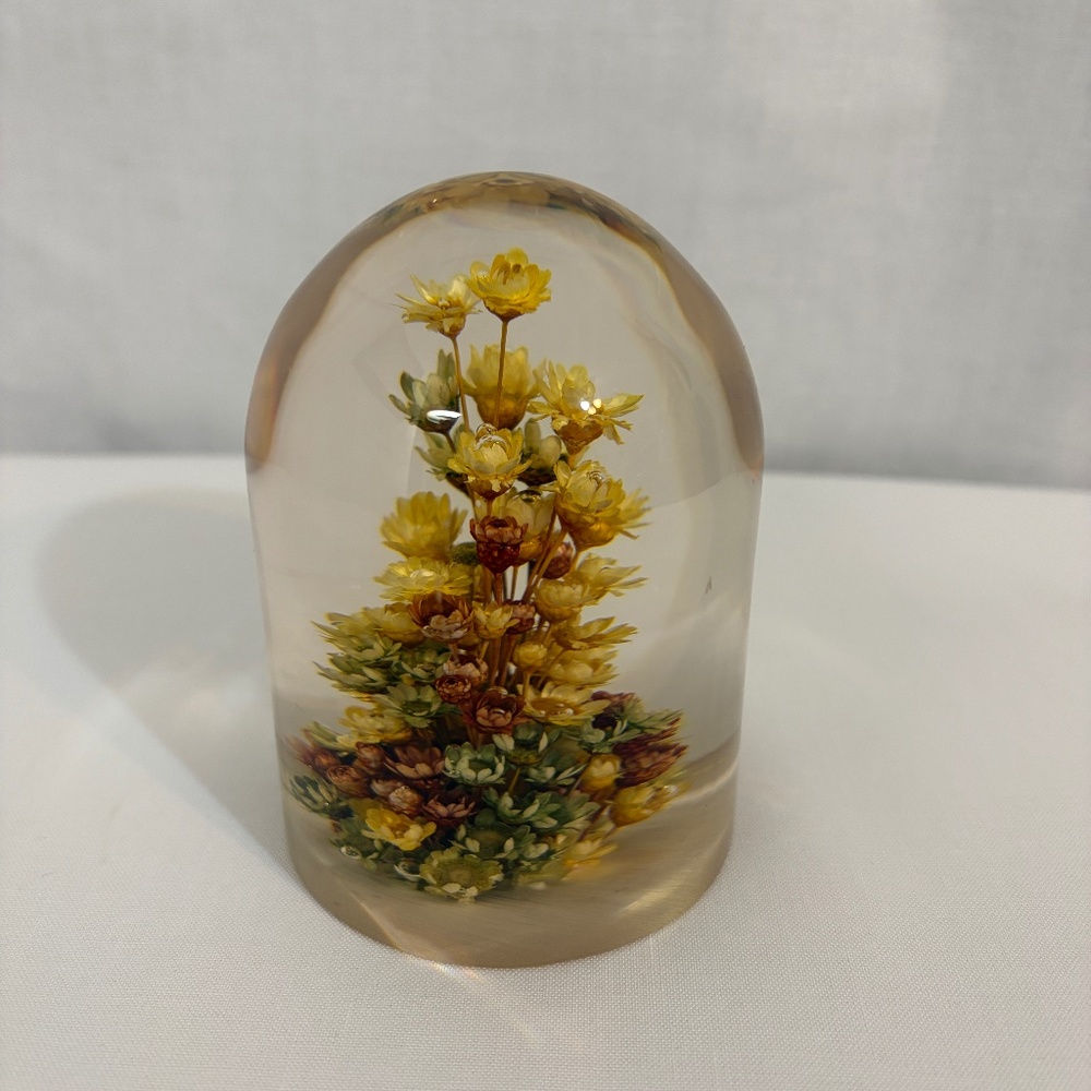 Vintage Acrylic Lucite Daisy Glass Paperweight Hand Made With Real Dried Flowers